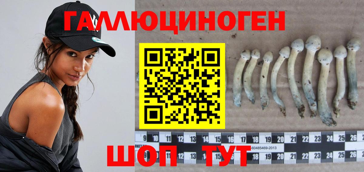 Волгоград  Галлюциногенные грибы Psilocybine cubensis  наркошоп  Вход с VPN 